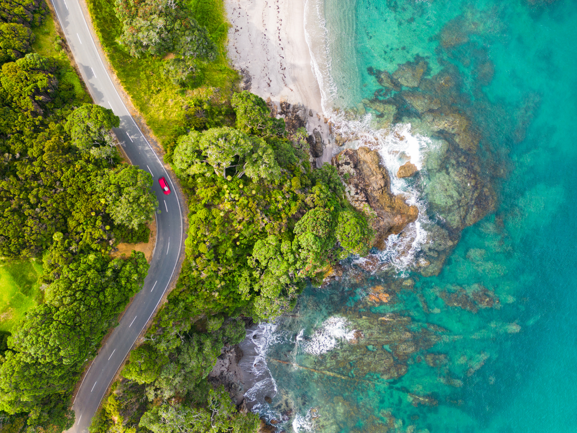 Banner for Sustainability