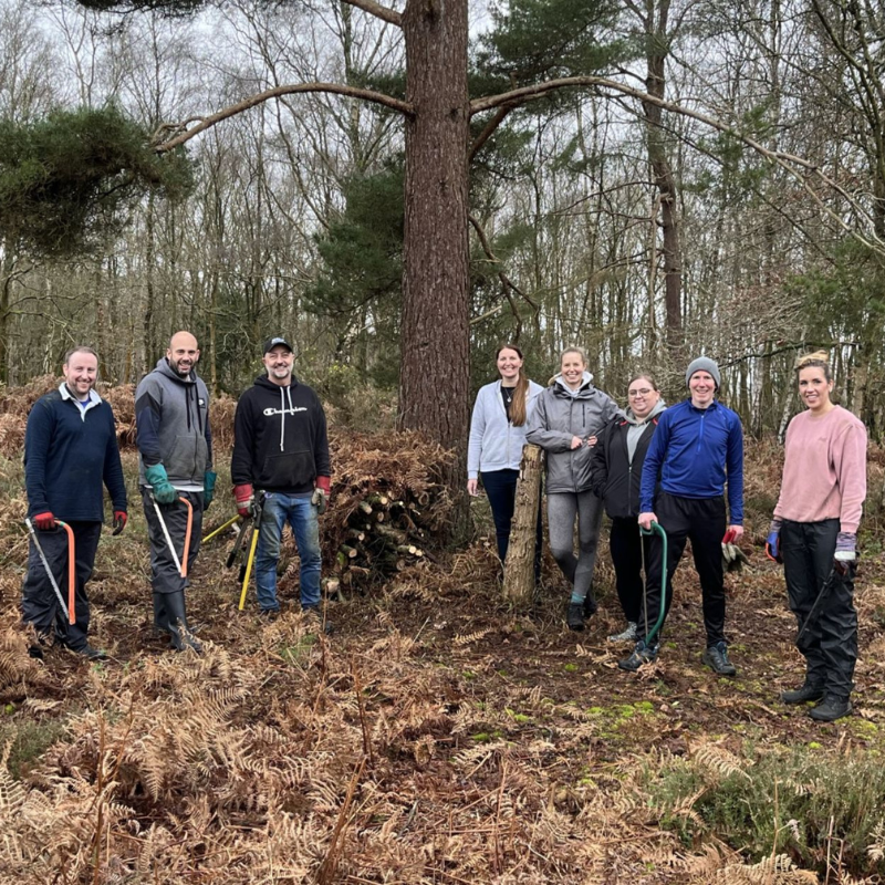 Celebrating (800 X 800 Px)